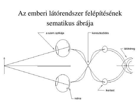 robotikai rendszer felépítésének sematikus ábrája