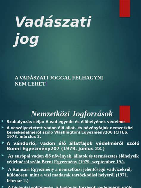 gepardkölyök vadászati viselkedése
