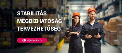 angol nyelvű irodai munkakör nemzetközi csapatban