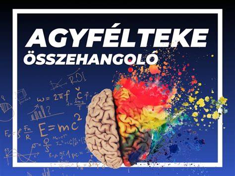 két agyfélteke együttműködése tanulásban