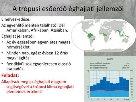 Trópusi esőerdők elterjedése a világon