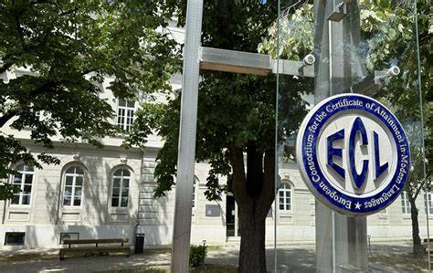 ECL spanyol nyelvvizsga feladattípusai