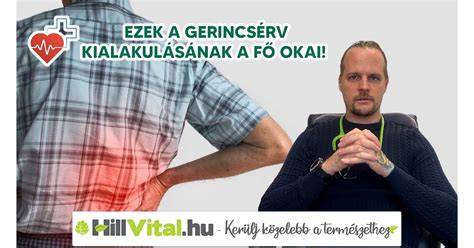 Divatirányzatok kialakulásának fő forrásai