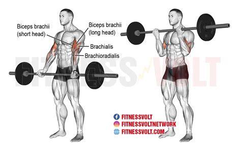 barbell curl végrehajtása edzőteremben
