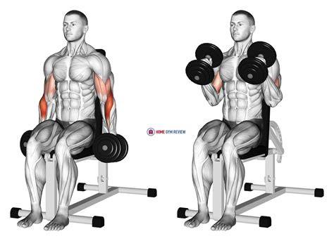hammer curl semleges fogással