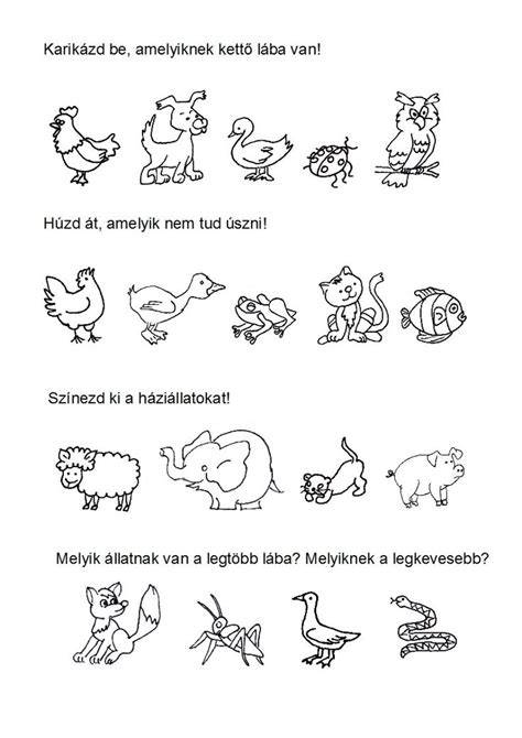 Meixner szókincsfejlesztő kifestő állatképekkel