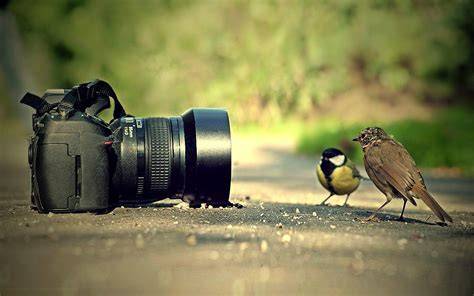 photograph photography photographic hangsúly