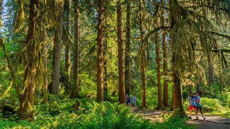 Forks esős kisvárosa Washington államban