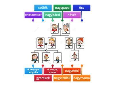 családfa családtagok angol megnevezései