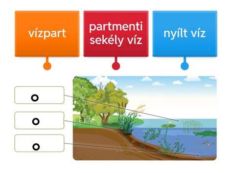 kiskereskedelmi környezet diagram